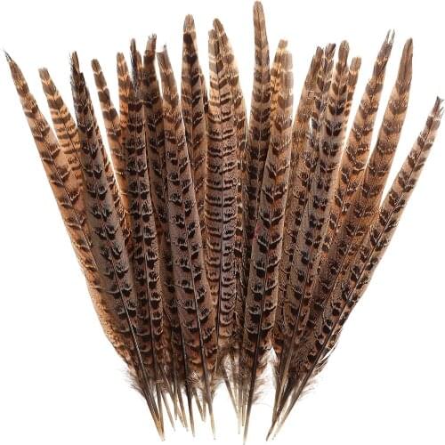 20pcs Natural Pheasant Feather Tail 25-30cm for Wedding Crafts Fly Tying Feathers Headdress Accessories Decoration Chicken Plume
