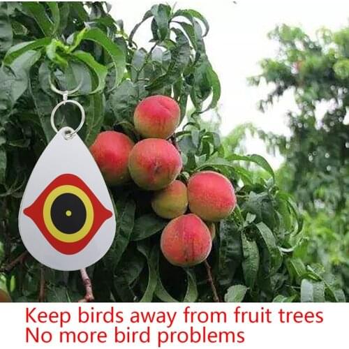 5Pcs/Set Bird Repellent Diverter Discs Scarer Eye Scare Birds Away Pest Deterrent