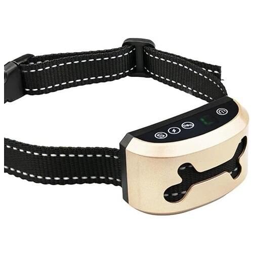 PETA Products For Dogs