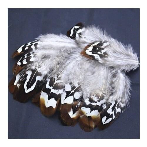 100PCS/LOT 5-10cm Nature BROWN & WHITE REEVES PHEASANT BODY PLUMAGE FEATHERS,Loose Reeves Pheasant Plumage Feathers