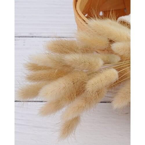 15pcs/lot Hares-tail Grass High Quality Natural Dried Flowers Photography Shooting Photo Studio Props Background DIY Adornments