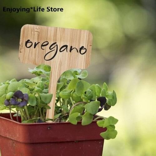 50pcs T-Type Bamboo Plant Labels Eco-Friendly Wooden Plant Sign Tags Garden Markers for Seed Potted Herbs Flowers Tools