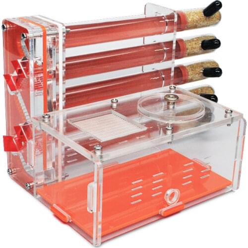 DIY Acrylic Ant Farm with Feeding Area Ants House Workshop 5 Plaster Tubes Ant Nest Insect Gypsum Test Tube Nest Pet Anthill