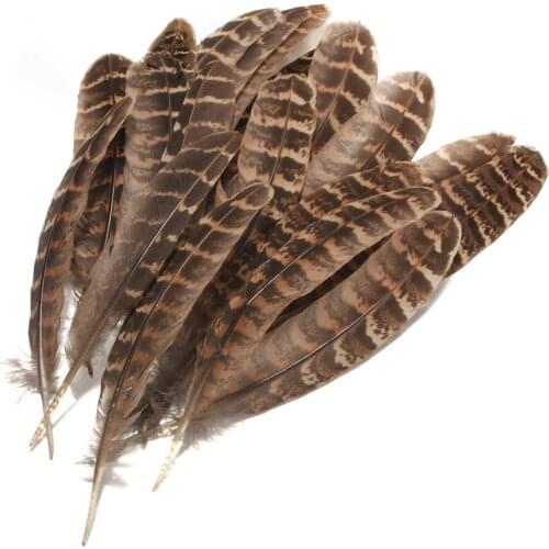 20/100pcs Natural DIY Pheasant Feathers for Crafts Plume Colored Wedding Feathers Small Sewing Party Home Decoration 10-15cm