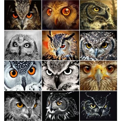 AZQSD Coloring By Numbers DIY Animal Home Living Room Art Craft 40x50cm Painting By Numbers Canvas Owl Handpainted Gift