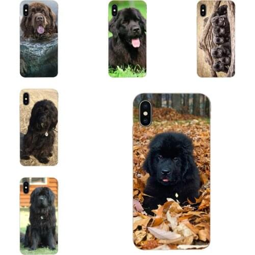 For Xiaomi Mi CC9 CC9E 9T mi10 mi9 mi8 note 9 10 pro lite SE Mi A1 A2 A3 Soft Protective Case Newfoundland Dog Puppy