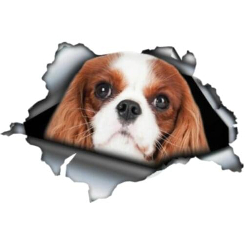 Dawasaru Red Cavalier King Charles Pet Car Stickers Personalized Decal Truck Motorcycle Auto Accessories Decoration PVC,13cm*8cm