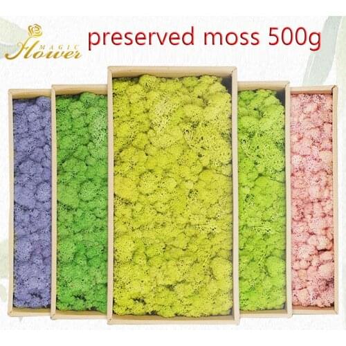 500G DIY Preserved Moss Wall Artificial Green Plant Immortal Lichen Grass Naturl Unfading Flower Multi Color Wedding Decoration