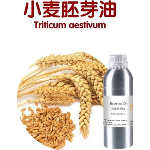 Cosmetics massage oil 100g/bottle Wheat germ essential oil, organic cold pressed Wheat germ plant oil