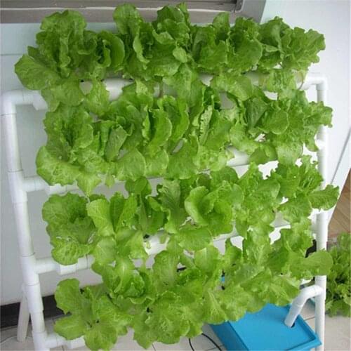 36 Planting Sites 4 Layers Horizontal Hydroponic Grow Kit Garden Plant Vegetable Planting Grow Box Deep Water Culture System