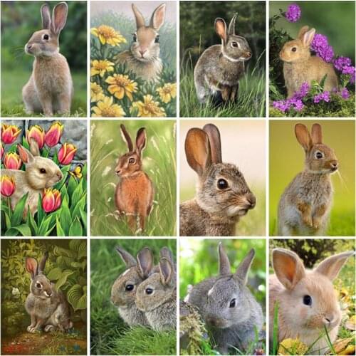 DIY Rabbit 5D Diamond Painting Full Square Drill Animal Diamond Embroidery Cross Stitch Kit Mosaic Wall Art Home Decor Gift