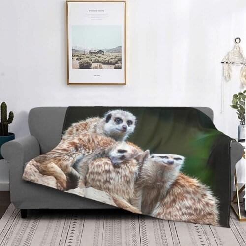 Meerkat Family (Digital Painting) Throw Blanket Coral Comforters Duvet Bedspread Cover Bedspread 200 220