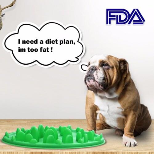 DO DO PET Products For Dogs