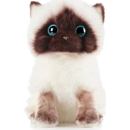 Mini Simulation Cat Plush Toy Blue Sequins Eyes Cat Plush Doll Brown and White Face Ragdoll Plush Cat Home Decor Doll
