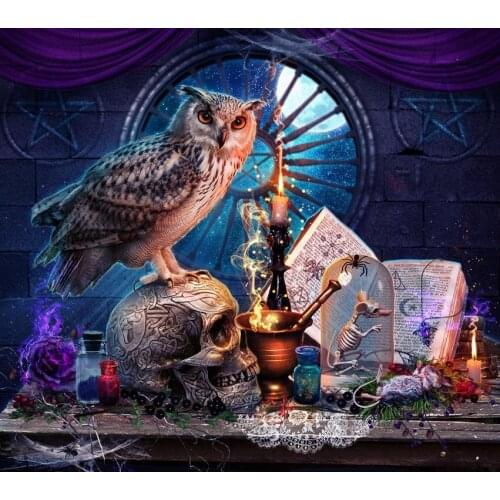 JMINE Div 5D Owl Skull Book window witchcraft Full Diamond Painting cross stitch kits art Animal 3D paint by diamonds