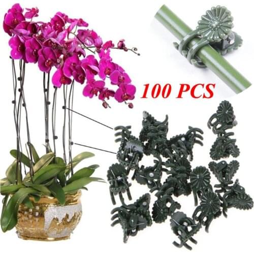 100x Plastic garden clip Special clip for Phalaenopsis Graft clip Plant vine clip Orchid Stem Vine Support Bundle Gardening Tool