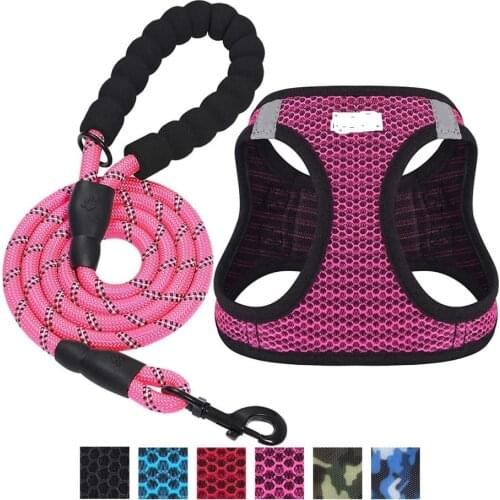Nylon Mesh Puppy Cat Harnesses Vest Reflective Dog Harness and Leash Set for Chihuahua Pug Small Medium Walking Lead Leash