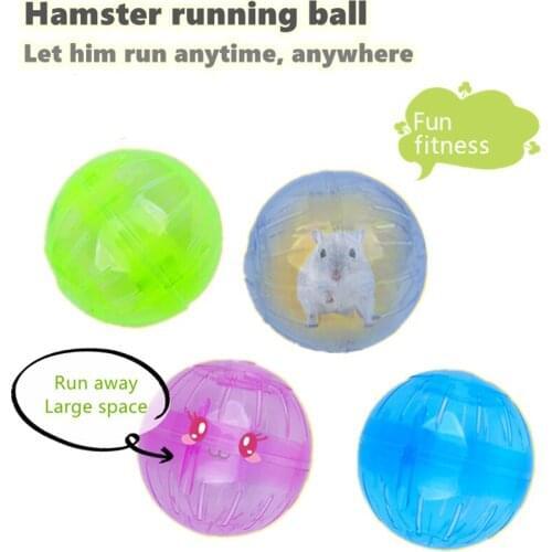 YOUDUDU Toys For Animals