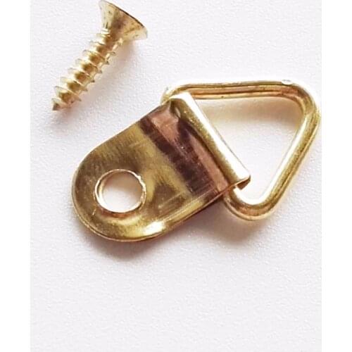 100pcs Golden Triangle D-Ring Hanging Picture oil Painting Mirror Frame Hooks Hangers With 100 Screws 10x20mm