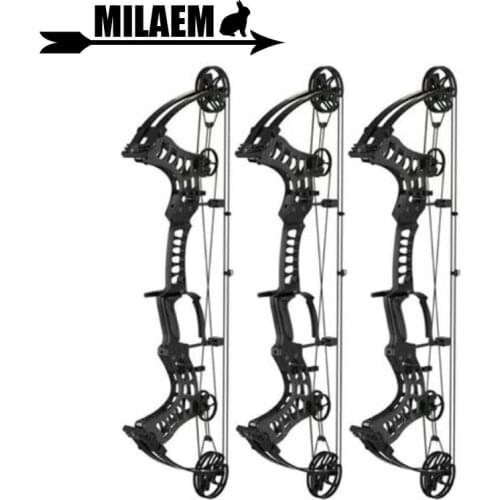 40-70lbs/50-80lbs Archery Compound Bow Steel Ball Bow IBO 315fps 70% Labor Saving Ratio Adjustable Shooting Accessories