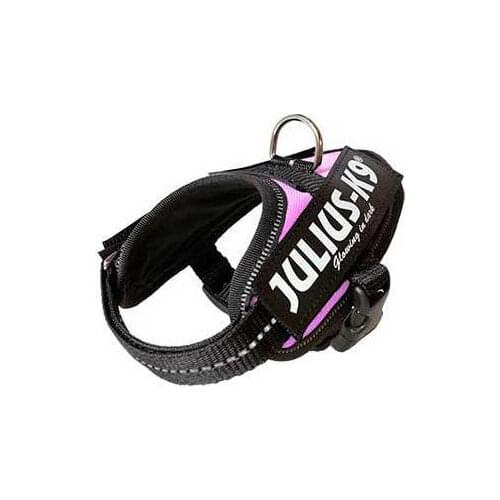 Первый питомец Julius K9 China At AliExpress