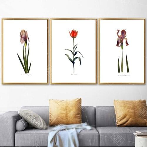 Unframed Modern Home Decoration Posters and Prints Rose Flower Romantic Canvas Art Painting Bedroom Decor Wall Picture for Kids