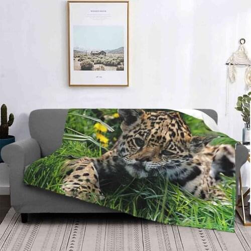Spot Air Conditioning Blanket Travel Portable Blanket Cat Cats Animal Animals Baby Cub Cubs Wildlife Nature