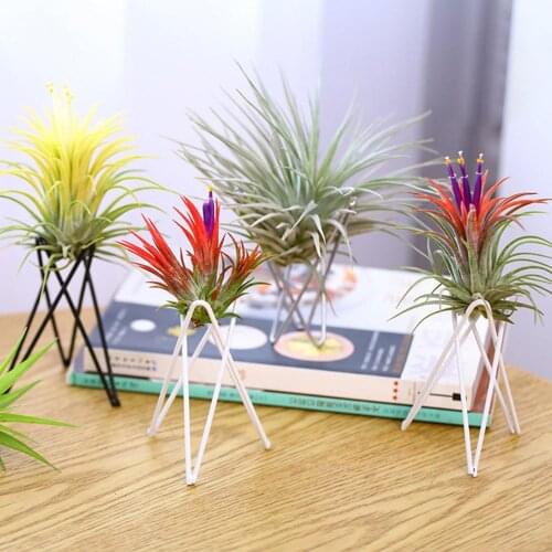 Flower Plant Balcony Garden Bonsai Pot Metal Rack Flowerpot Holder Bracket Decor Plant Container A Flower Pot Macetas Pots Stand