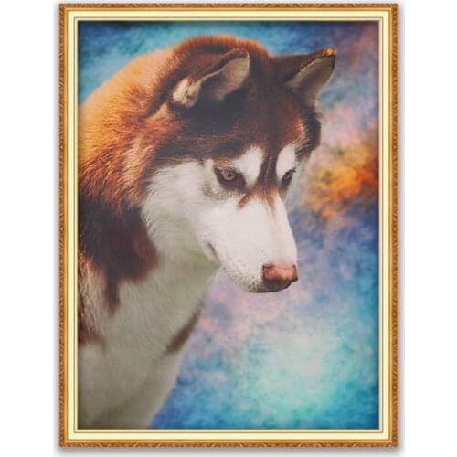 Animal Dog Husky DIY Cross Stitch Embroidery 11CT Kits Craft Needlework Set Printed Canvas Cotton Thread Home Decoration Sell
