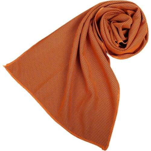 Outdoor Fitness Cooling Fabric Motion Polyester Fiber Yoga Gym Running Supplies Quick Drying 30*80cm Cold Feeling Towel