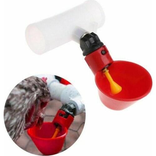 10PCS Chicken Water Drinking Cups Quail Drinking Bowls Chicken Bird Automatic Drinker Feeder Nipple Backyard Automatic Poultry