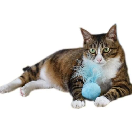 Pet cat scratch catnip vocal bell feather toy used of pets exercise rope game fluffy ball outing training and indestructible toy