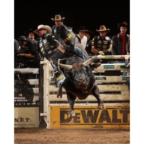 Home Decor Professional Bull Riders PBR 1-Silk Art Poster Wall Sicker Decoration Gift