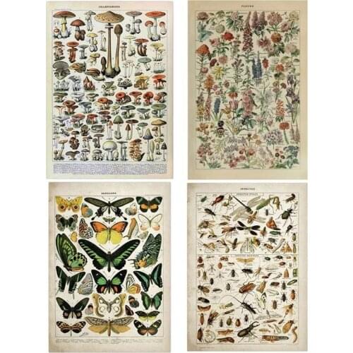 Vintage Adolphe Millot Encyclopedia Posters Butterfly Mushrooms Herbs Flowers Insect Classic Wall Stickers Vintage Poster