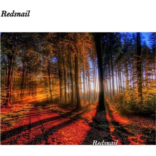 Diy diamond painting Autumn Forest Trees landscape diamond Embroidery mosaic diamant painting 3d cross stitch pictures EE270