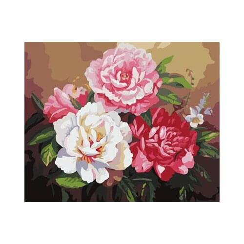 Frameless Wall Sticker Painting By Numbers Hand Painted On Canvas Art Oil Painting Wedding Decoration Of Flower 40*50cm G382