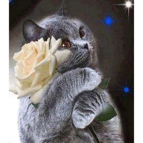 5D DIY Diamond Painting Lovely Cat Embroidery Cross Stitch Rhinestone Mosaic Embroidery Decor Gift GJ48