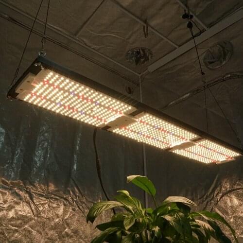 Kingbrite Special Lighting