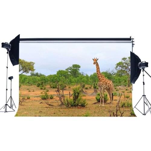 Zoo Backdrop Countryside Sika Deer Backdrops Jungle Forest Trees Nature Spring Background