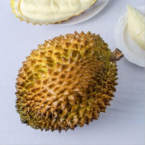 Artificial Big durian Display props in the sample room artificial durian Rural place Artificial fruit