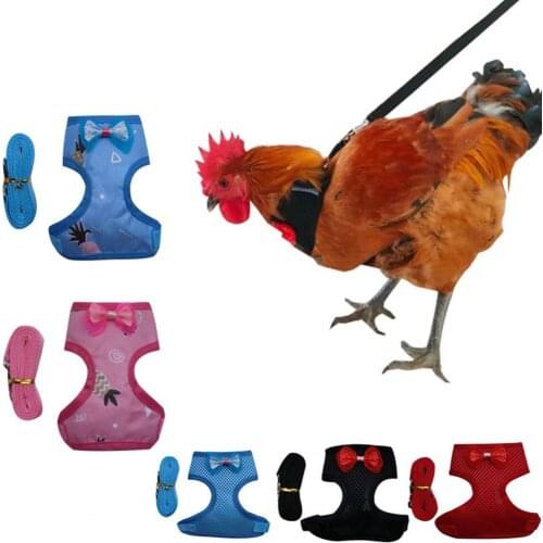 Portable Pet Harness Bowknot Decor Walking Safety Fabric Safe Chest Strap Leash for Chicken Harness Small Animal Supplies