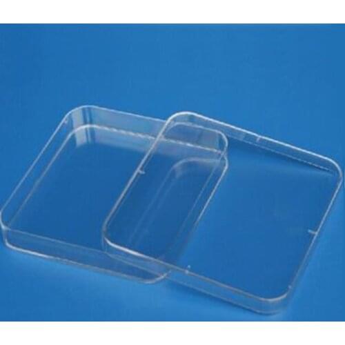 10pcs/pack Laboratory analysis Disposable Plastic Polystyrene Petri Dishs 13*13cm Sterile