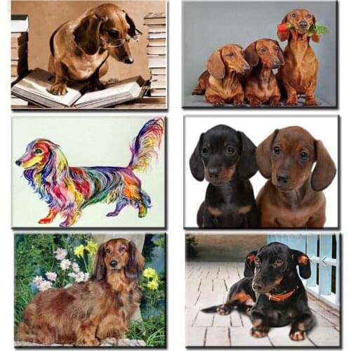 Full Square 5d diy Diamond Painting Professor Dachshund cross stitch kit diamant painting dog pet,diamond dots home decor gift