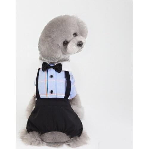 Pet Tutu Dress Dog Cat Spring Summer Stripes Rompers Clothes For Dog Boys Small Dog Girls Bowknot Dress Dog Couple Clothing
