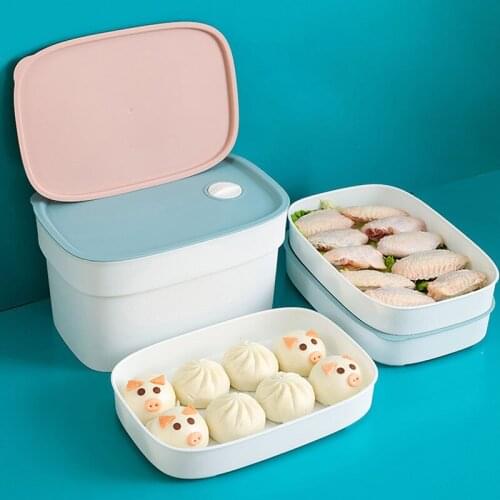 Kitchen Simple Dumpling Box Kitchen Organizer Food Storage Container Vegetable Egg Storage Box Containers Household Items