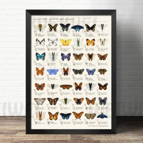 Canvas Painting Wall Art Biology Animal Poster Various Kinds of Butterflies Home Decoration for Living Room and Bedroom