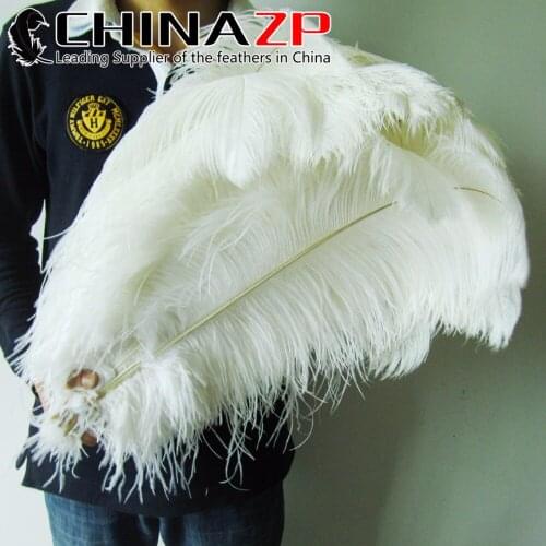 CHINAZP Factory Large Size 55-60cm(22-24inch) 50pcs/lot Top Quality Wholesale White Ostrich Feathers Bulk