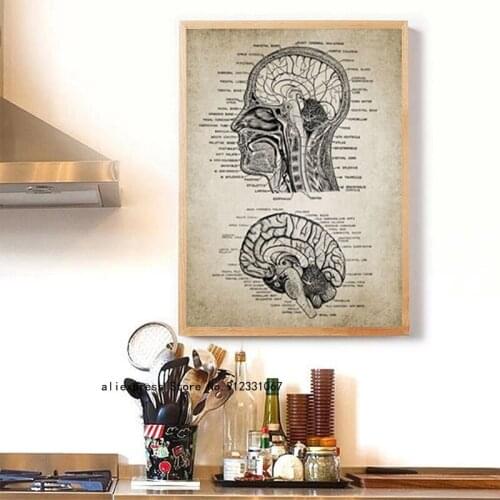 Montage Human Head and Brain Anatomy Art Print Poster Neuroscience Human Anatomy Canvas Painting Doctor Office Wall Decoration