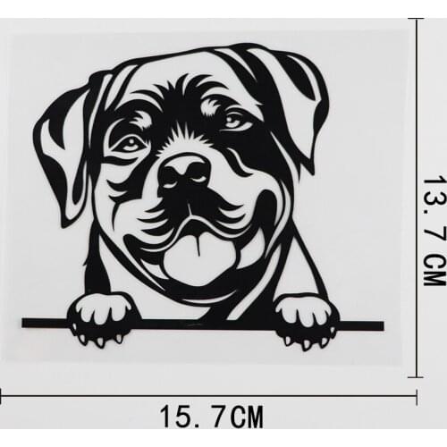 15.7CMX13.7CM Car Sticker Rottweiler Dog Peeking Vinyl Decal Black/Silver 8A-0056
