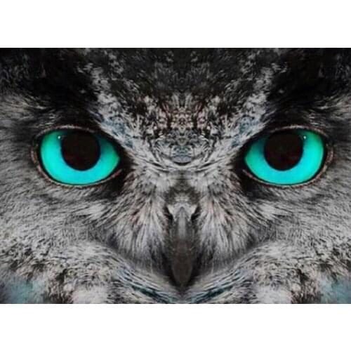5d-diamond-painting "owl eye " Full Square/Round 5D DIY Diamond Embroidery crystal pictures of rhinestones home decoration TY678